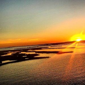 Meet your Posher, Coralia